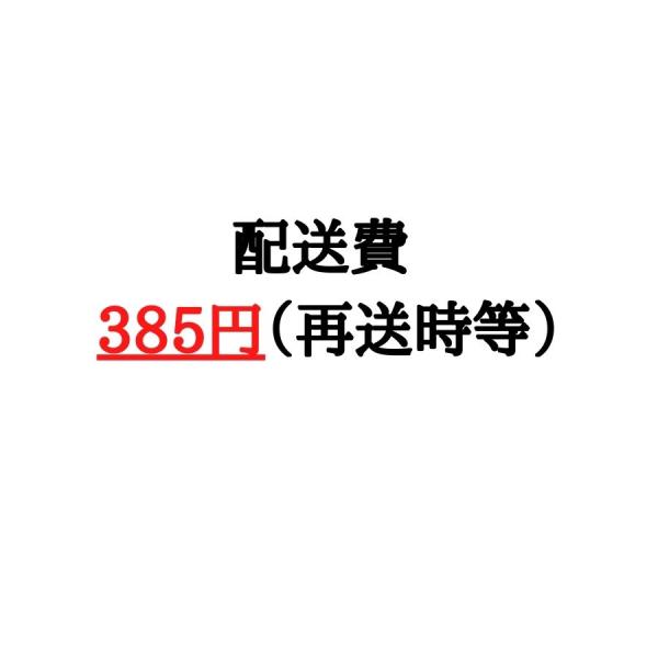 再送付時の料金となります : VIP イヤホン・替刃・ライト・マウス 専門
