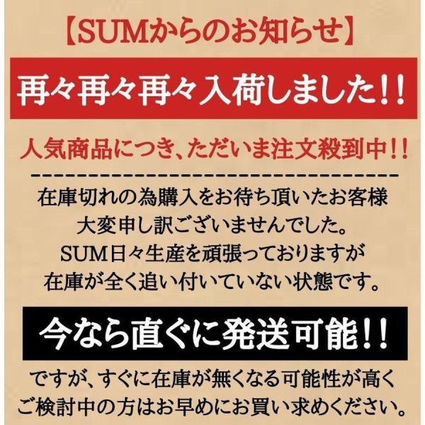 sum41_se-mutaoru01_1_d_20230202224418