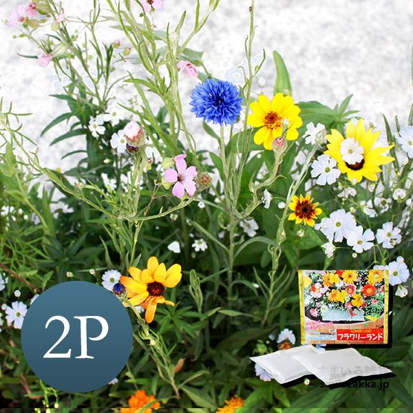 フラワリーランド(2パック) ガーデニングに : すまいる雑貨(アーネスト