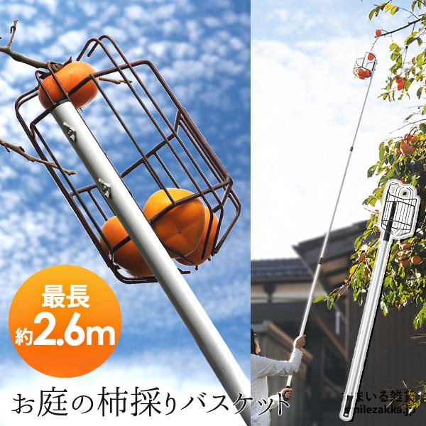 一本はしご農具柿取引はしご