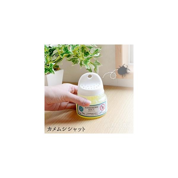 JVVbg ߂ނ V ނ  Q  悯 