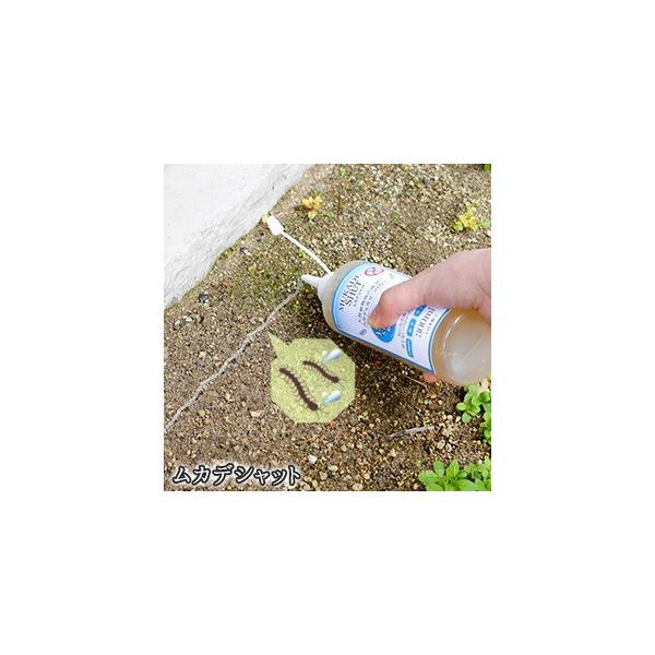 JfVbg ނ V ނ  Q  悯 