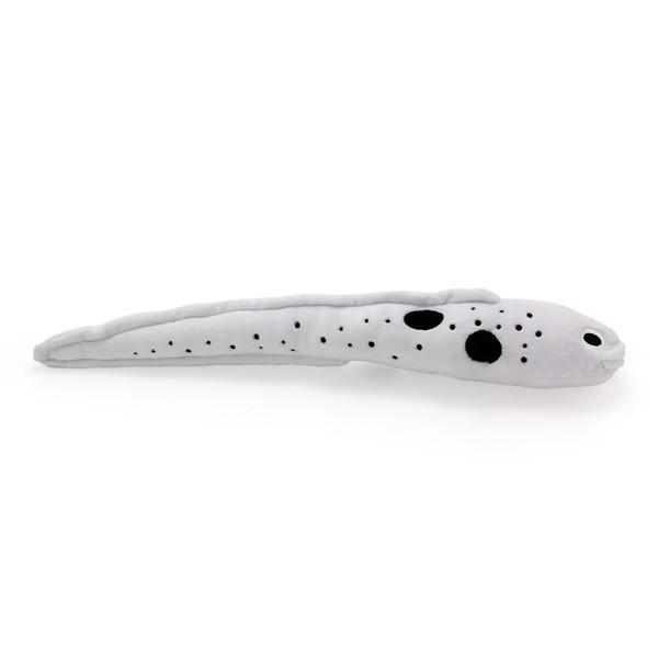 すみだ水族館 オリジナル 飼育員監修 チンアナゴ ぬいぐるみ Buyee Buyee 日本の通販商品 オークションの入札サポート 購入サポートサービス