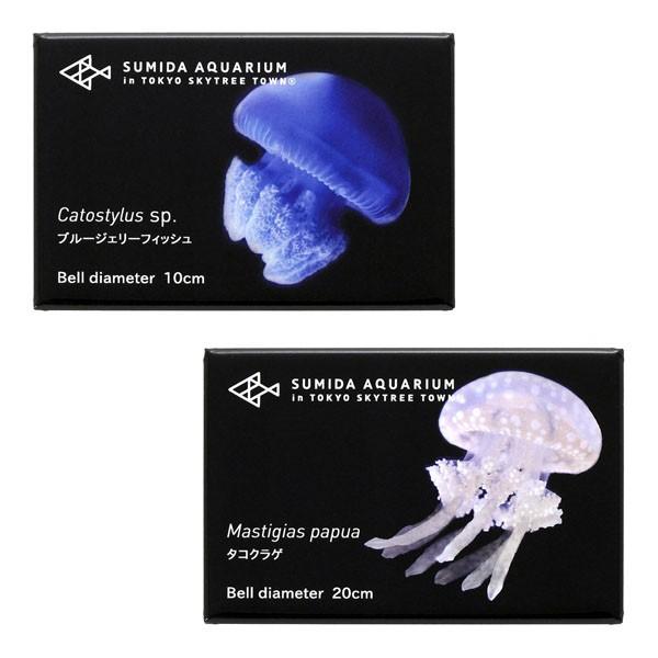 すみだ水族館 クラゲマグネット 全6種 アカクラゲ アマクサクラゲ ギヤマンクラゲ タコクラゲ ミズクラゲ ブルージェリーフィッシュ Buyee Buyee Japanese Proxy Service Buy From Japan Bot Online