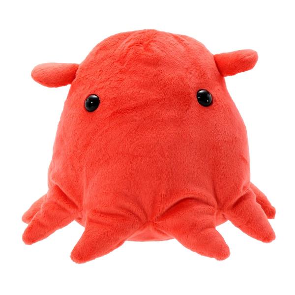 すみだ水族館 メンダコ ぬいぐるみ Mサイズ 深海生物 Buyee Buyee Japanese Proxy Service Buy From Japan Bot Online