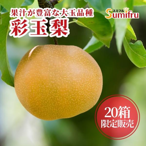 埼玉県産 彩玉梨 梨 果物 8〜12玉 約5kg くだもの フルーツ プレゼント 予約商品 予約 送料無料 スミフル sumifru こだわり 【8/25ごろ発送】