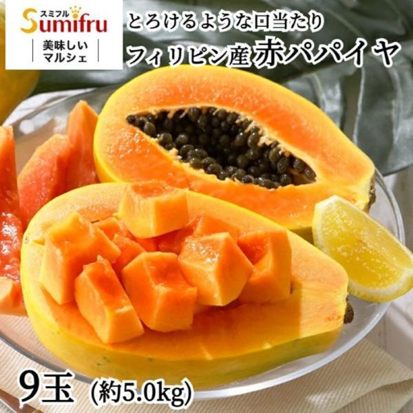 ●商品詳細内容：レッドパパイヤ 9玉 サイズ：約5kg（9玉入）原産国：フィリピン保存方法：新聞紙などにくるみ、乾燥しないようビニール袋などに入れて冷暗所におきます。気温が高い場合は その状態で冷蔵庫の野菜室での保存がおすすめ。１週間ほどで...