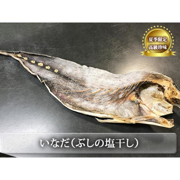 「いなだ」　北陸金沢の夏限定高級珍味　8号　