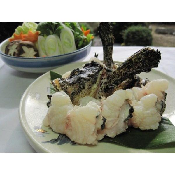 オコゼ鍋 2人前 Buyee Buyee 日本の通販商品 オークションの代理入札 代理購入