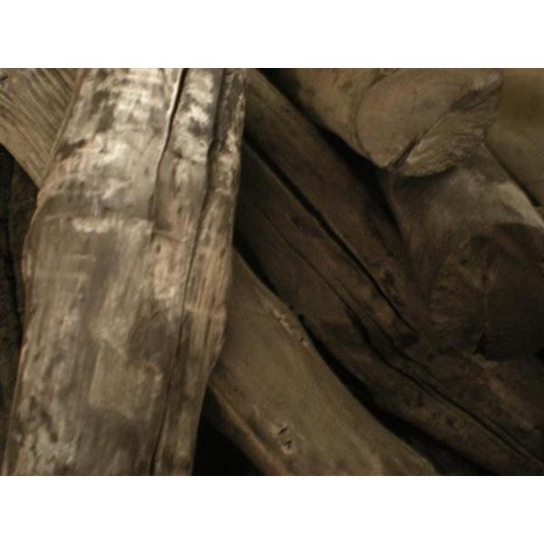 Y ؒY o[xL[p VR F 炤 /IX Y ؑ 5