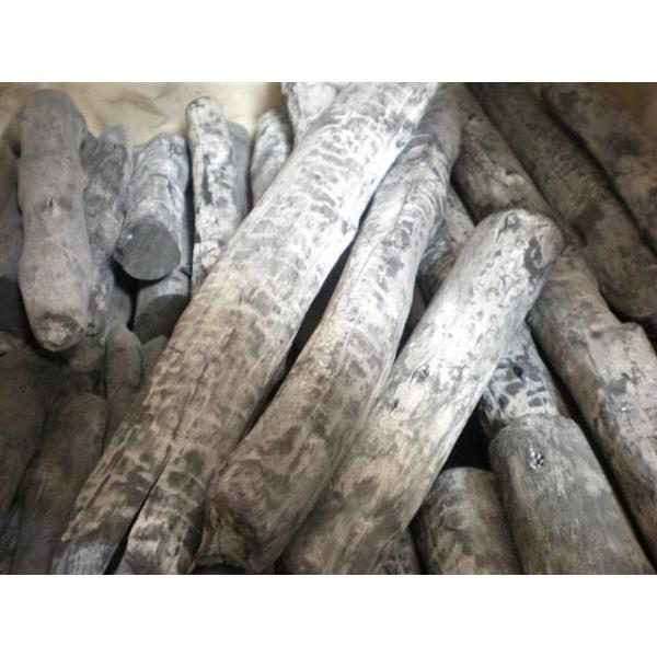 Y ؒY o[xL[p VR F 炤 /IXY ؊ 15