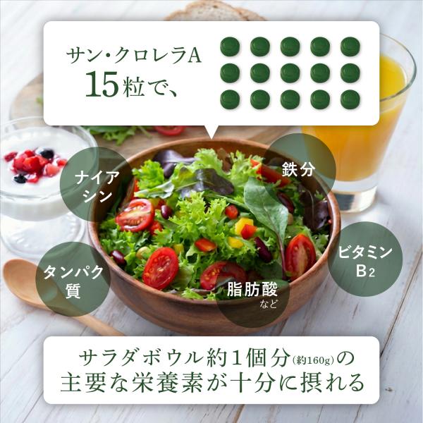 �N������ ����ς��� �H���@�� �T�v�������g �T���N������A 900�� (��60����) �K�{�A�~�m�_ �N�����t�B�� �t�Αf ���S�h�{�H ���� ���� ���� ���i�摜3