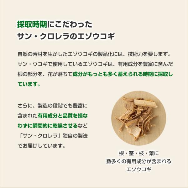 公式 サン ウコギ 900粒 エゾウコギ 高麗人参 サプリ 健康 食品 サン クロレラ サン クロレラ公式paypayモール店 通販 Paypayモール