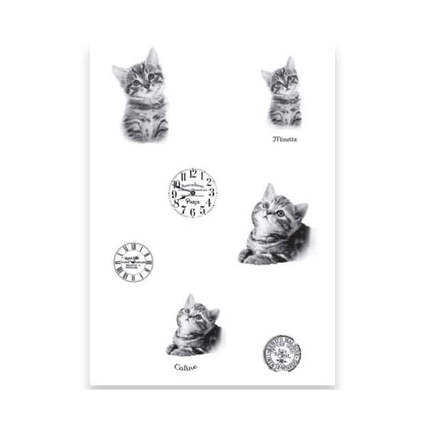 My kitten《瀬戸山桂子A5シルクスクリーン》・417-7142