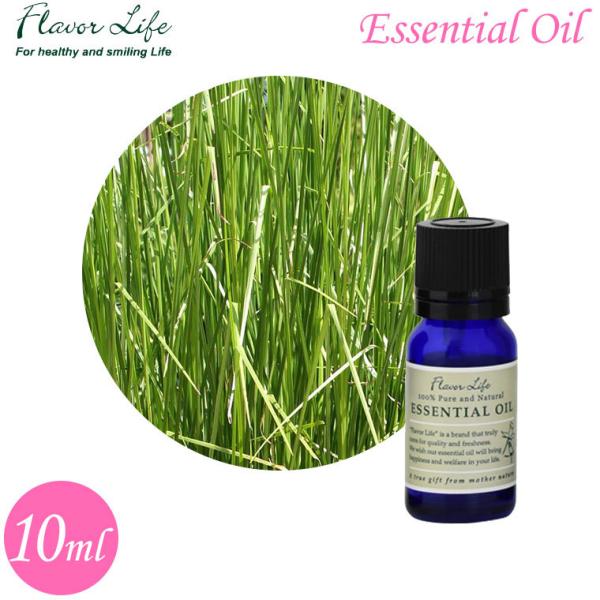 t[o[Ct GbZVIC x`o[ 10ml 00071