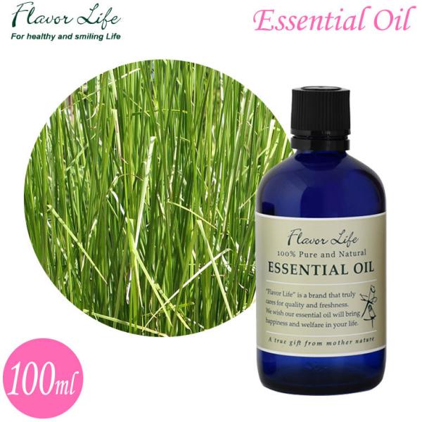 t[o[Ct GbZVIC x`o[ 100ml 00171