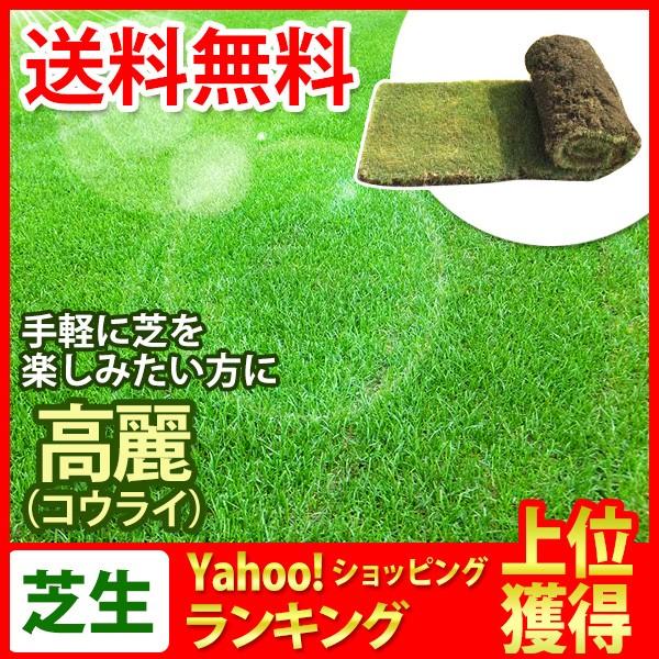 ゴルフ場フェアウェイやお庭、公園など緑化用によく使われている日本芝です。手軽に芝生を楽しみたい方にオススメです！大きいロールですので施工も早く、養生も短く済みます。根が付いた状態で栽培をしているため、通常のロール製品よりもさらに根が強く、乾...