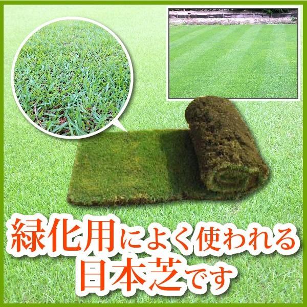 芝生 天然芝 高麗芝 コウライ芝 ロール巻芝 芝生 通販 Buyee Buyee Japanese Proxy Service Buy From Japan Bot Online