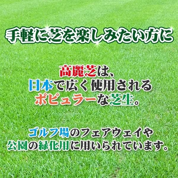 芝生 天然芝 高麗芝 コウライ芝 ロール巻芝 芝生 通販 Buyee Buyee Japanese Proxy Service Buy From Japan Bot Online