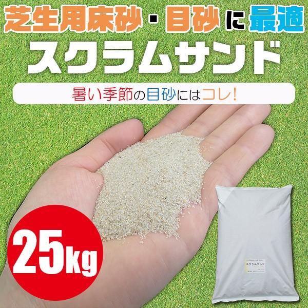 XNTh  102000 yǍ yǍ