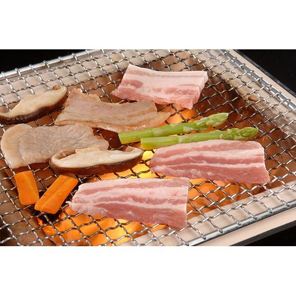 北海道 夢の大地豚 焼肉 お歳暮 お中元 詰め合わせ セット 贈答 プレゼント お肉ギフト ハム 肉 ソーセージ サンワショッピング 通販 Paypayモール