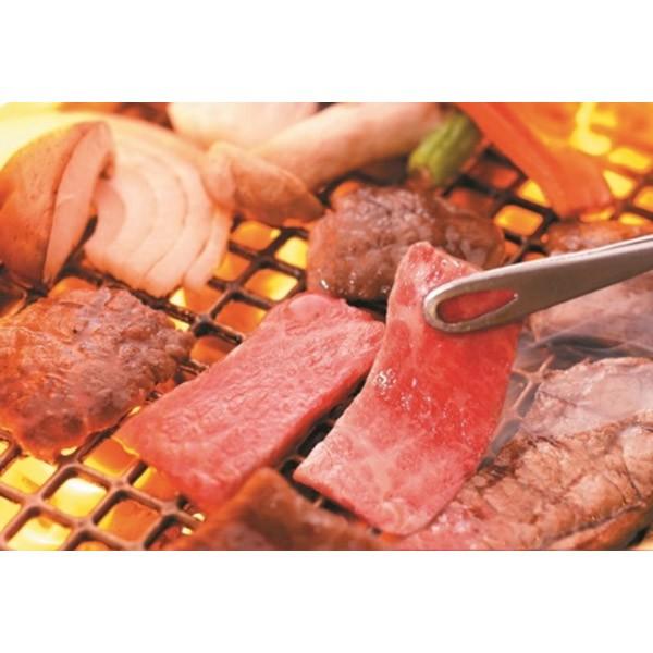 R` nƑ吳12Nuđ ؁vđ򋍃oē 14670400 lߍ킹 Zbg Ԃ Mtg v[g (2025N Ε Y ₫ ē ACX)