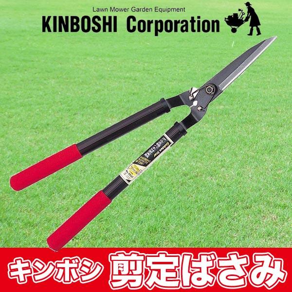 L{V ΂ GS A~oltŐ 2037