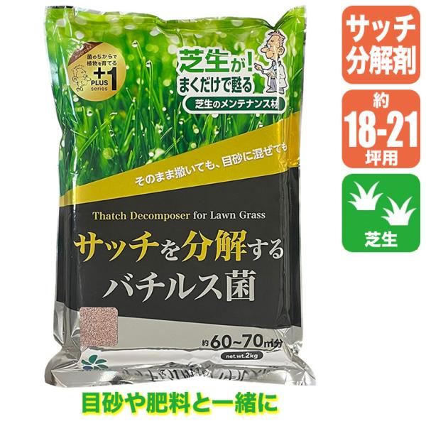 自然応用科学 プラス1 サッチを分解するバチルス菌 2kg 4907579771316 芝生 芝 サッチ分解 土壌改良 日本芝 西洋芝