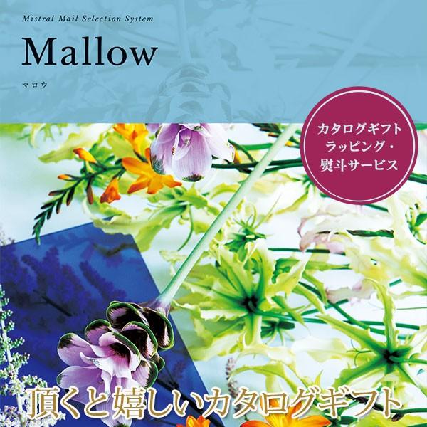 J^OMtg }E ~Xg 501M023Mtg v[g T  oY j Ԃ (2025N Ε 蕨 J^OMtg)