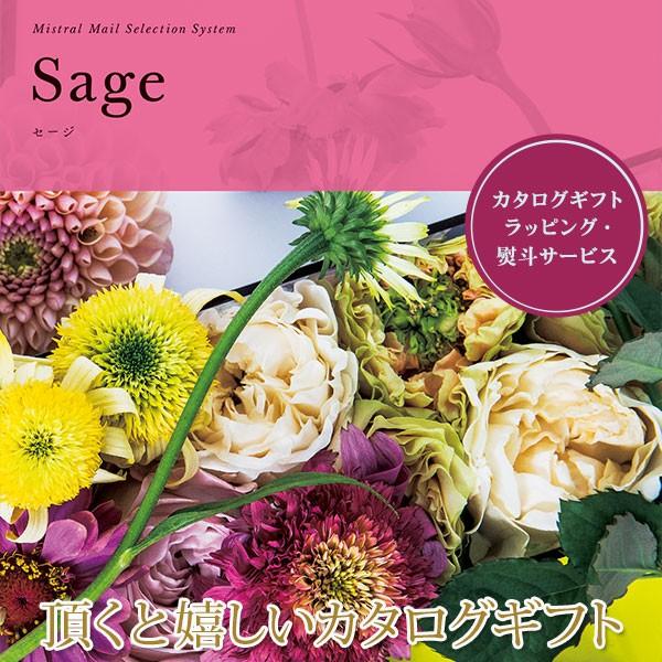 J^OMtg Z[W ~Xg 501M035Mtg v[g T  oY j Ԃ (2025N Ε 蕨 J^OMtg)