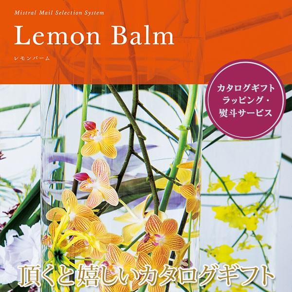 J^OMtg o[ ~Xg 501M060Mtg v[g T  oY j Ԃ (2025N Ε 蕨 J^OMtg)