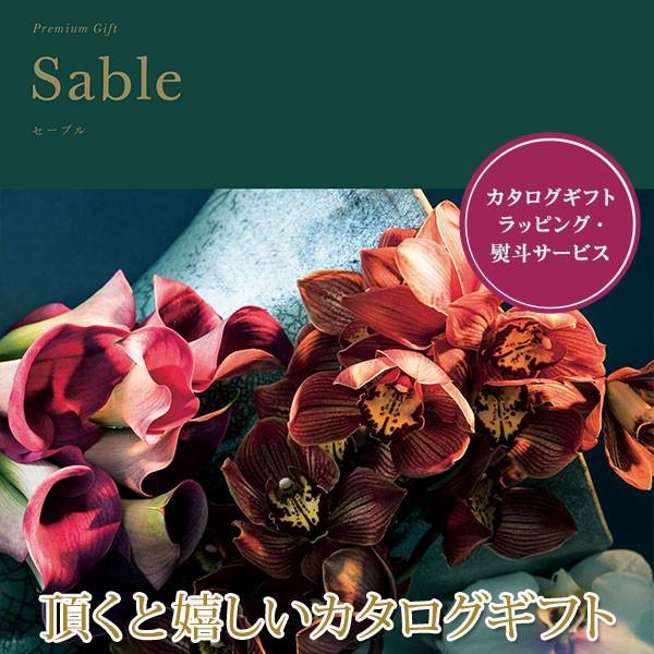 J^OMtg Z[u v~A 501m110Mtg v[g T  oY j Ԃ (2025N Ε 蕨 J^OMtg)