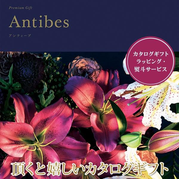 J^OMtg AeB[u v~A 501M133Mtg v[g T  oY j Ԃ (2025N Ε 蕨 J^OMtg)