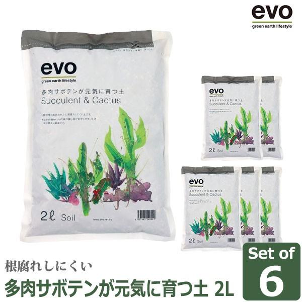 evo�����T�{�e�������C�Ɉ�y2Lx6 54000