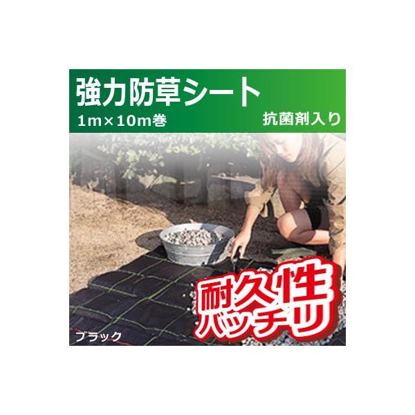 L{V ͖hV[g(ubN) Rۍܓ 1m×10m 7005