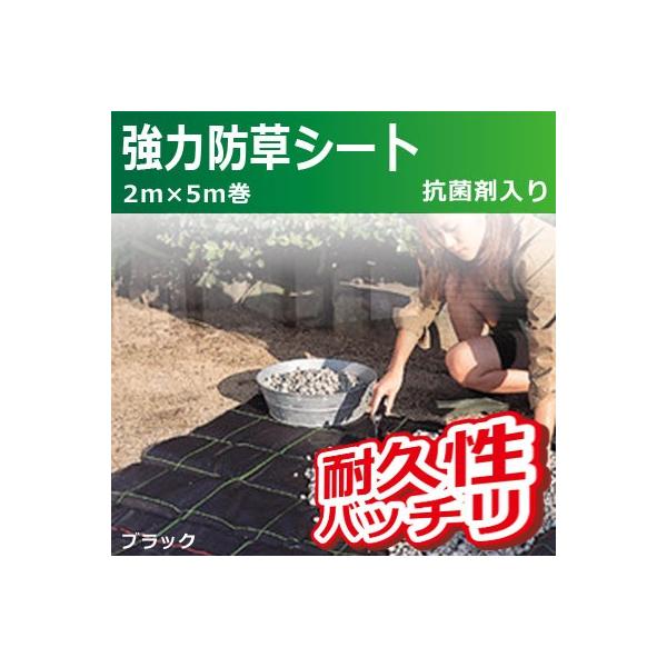 L{V ͖hV[g(ubN) Rۍܓ 2m×5m 7006