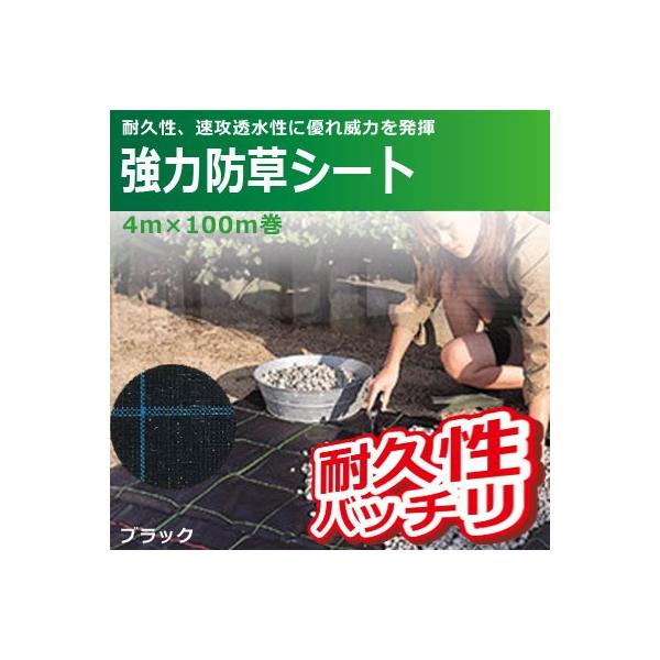 L{V ͖hV[g(ubN) 4m×100m 7216