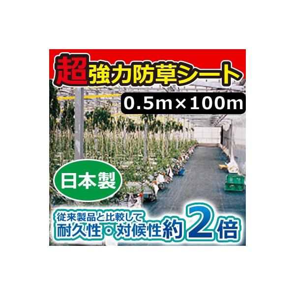 L{V ͖hV[g(ubN) 0.5m×100m 7220