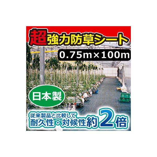 L{V ͖hV[g(ubN) 0.75m×100m 7221