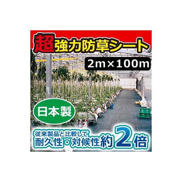 L{V ͖hV[g(ubN) 2m×100m 7224