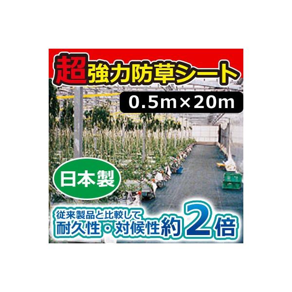 L{V ͖hV[g(ubN) 0.5m×20m 7631