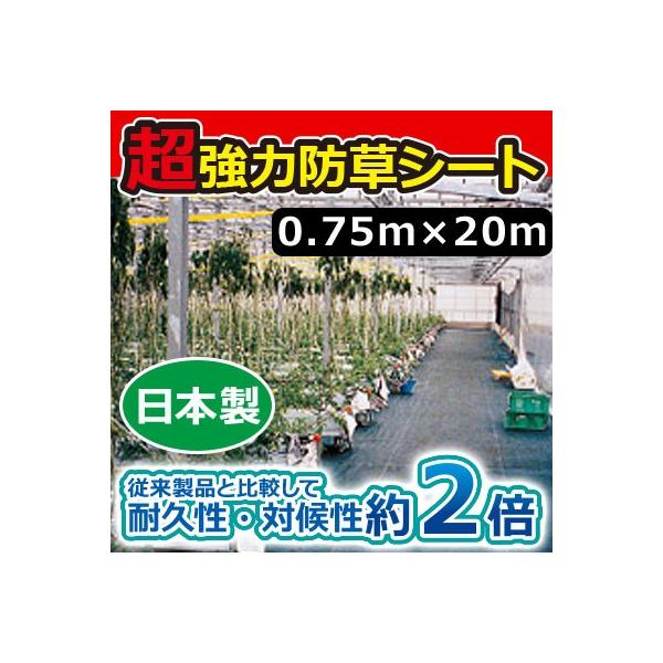 L{V ͖hV[g(ubN) 0.75m×20m 7632