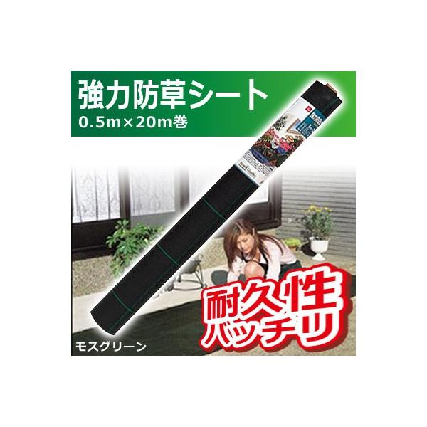 L{V ͖hV[g(XO[) 0.5m×20m 7671