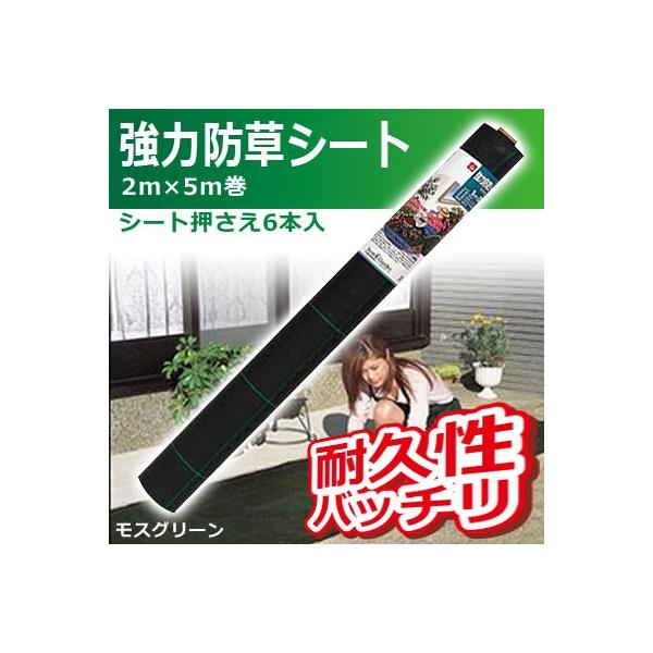 L{V ͖hV[g(XO[) 2×5m V[g6{ 7676