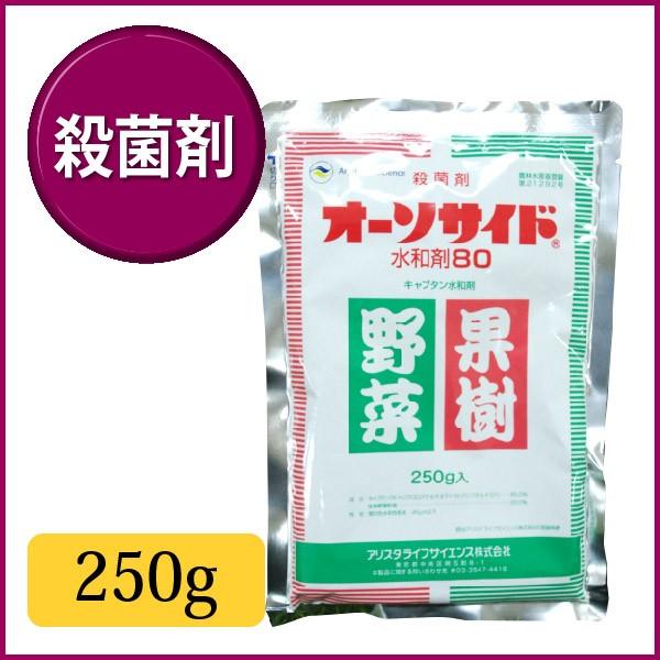 Ő Eۍ I[\TCha80 250g 8621008