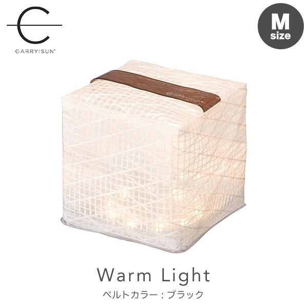 CARRY THE SUN Medium Warm Light ベルトカラー：ブラック CTSW-B...