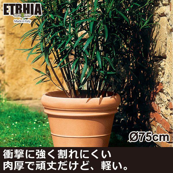 v^[ ^  Doppio Bordo [X[vXg GgA v^[ hbsIE{h75 ER-1753