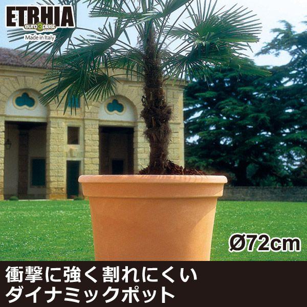 v^[ ^  Euro 3 Plast Etrhia Cillindro [X[vXg GgA v^[ Vh72 ER-2164