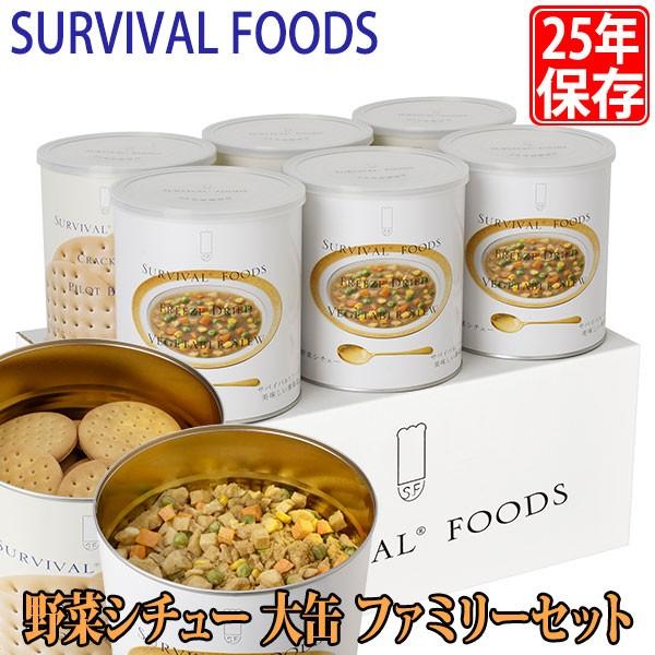 ToCot[Y 25NۑH ؃V`[  t@~[Zbg 6ʃZbg }cR̒mȂE H ~   h ЊQ FSV1