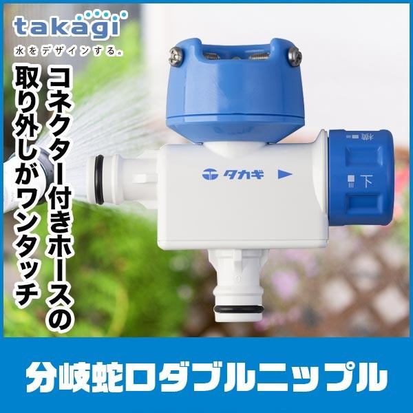 【白蛇伝】極上株　多数子株付き　親株サイズ 白蛇伝】極上株 完璧子株付き 親株サイズ